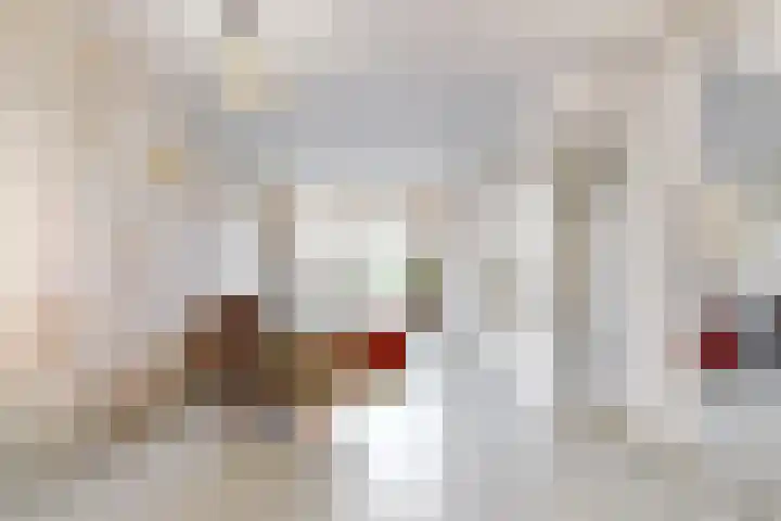 Jan Albert de Gravenlaan 40 Zoeterwoude thumbnail 10