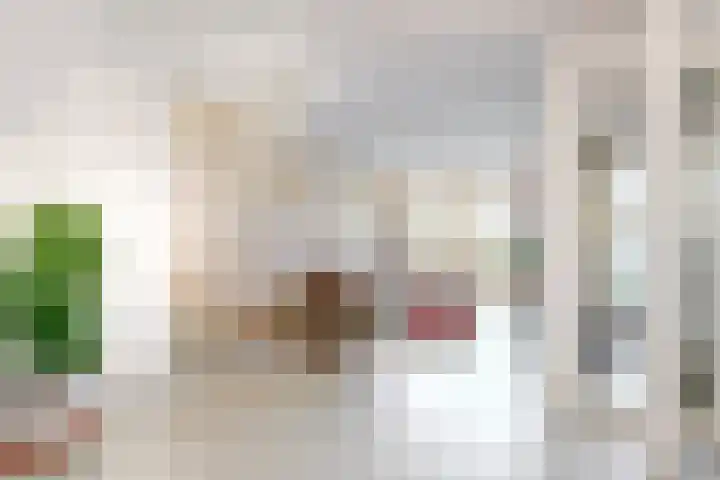 Jan Albert de Gravenlaan 40 Zoeterwoude thumbnail 11