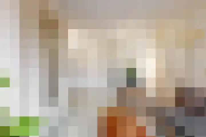 Jan Albert de Gravenlaan 40 Zoeterwoude thumbnail 12
