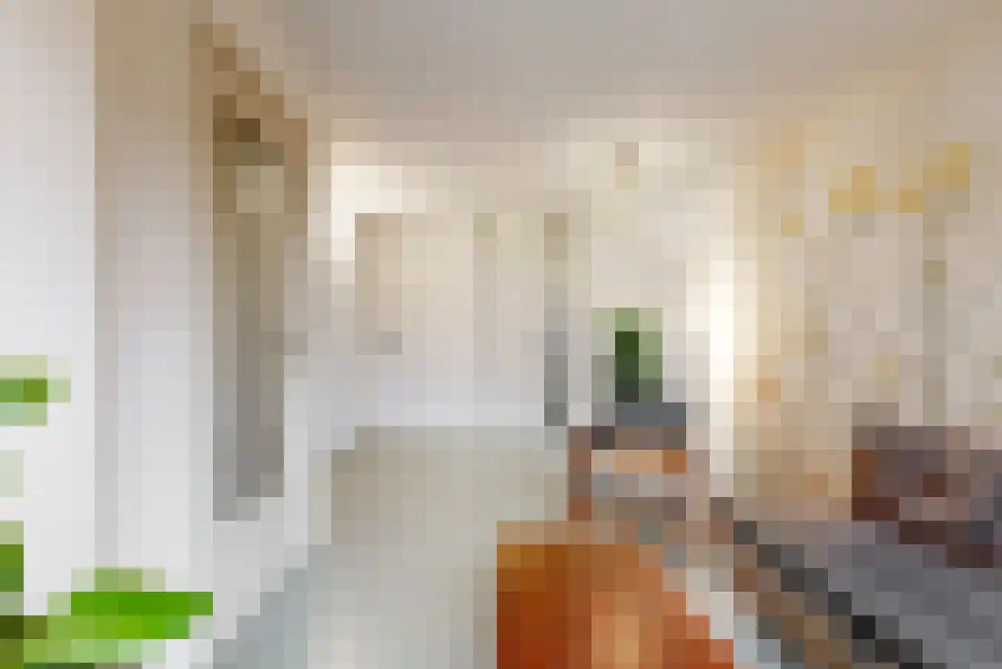Jan Albert de Gravenlaan 40 Zoeterwoude thumbnail 12