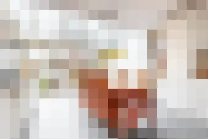 Jan Albert de Gravenlaan 40 Zoeterwoude thumbnail 14