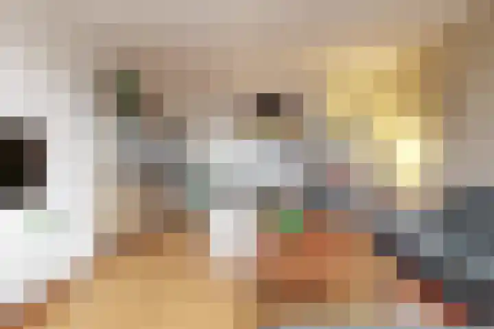 Jan Albert de Gravenlaan 40 Zoeterwoude thumbnail 21