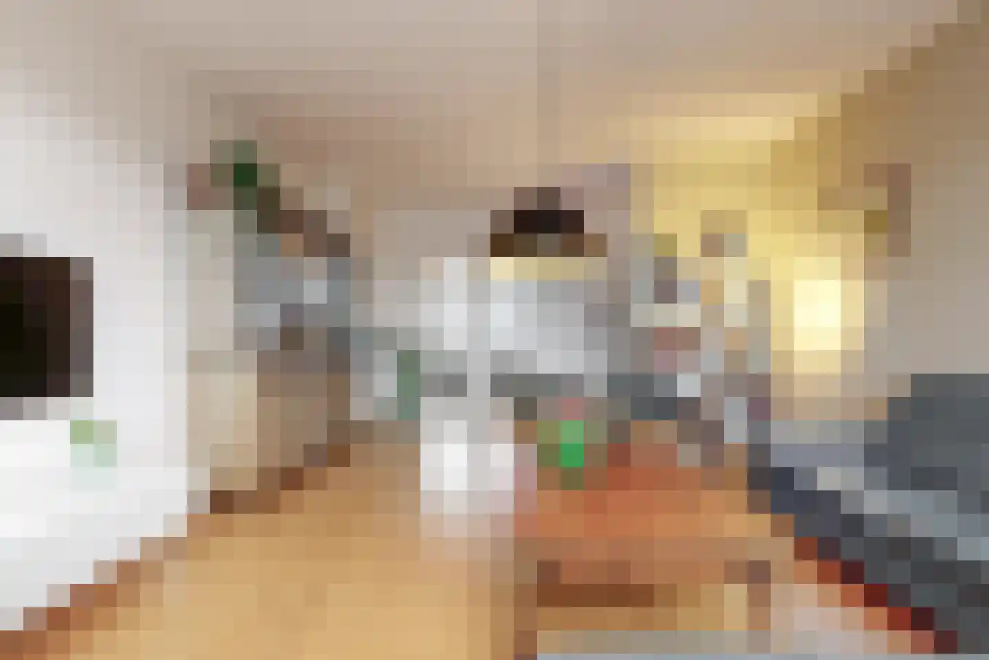 Jan Albert de Gravenlaan 40 Zoeterwoude thumbnail 21