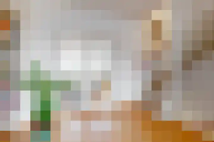 Jan Albert de Gravenlaan 40 Zoeterwoude thumbnail 22