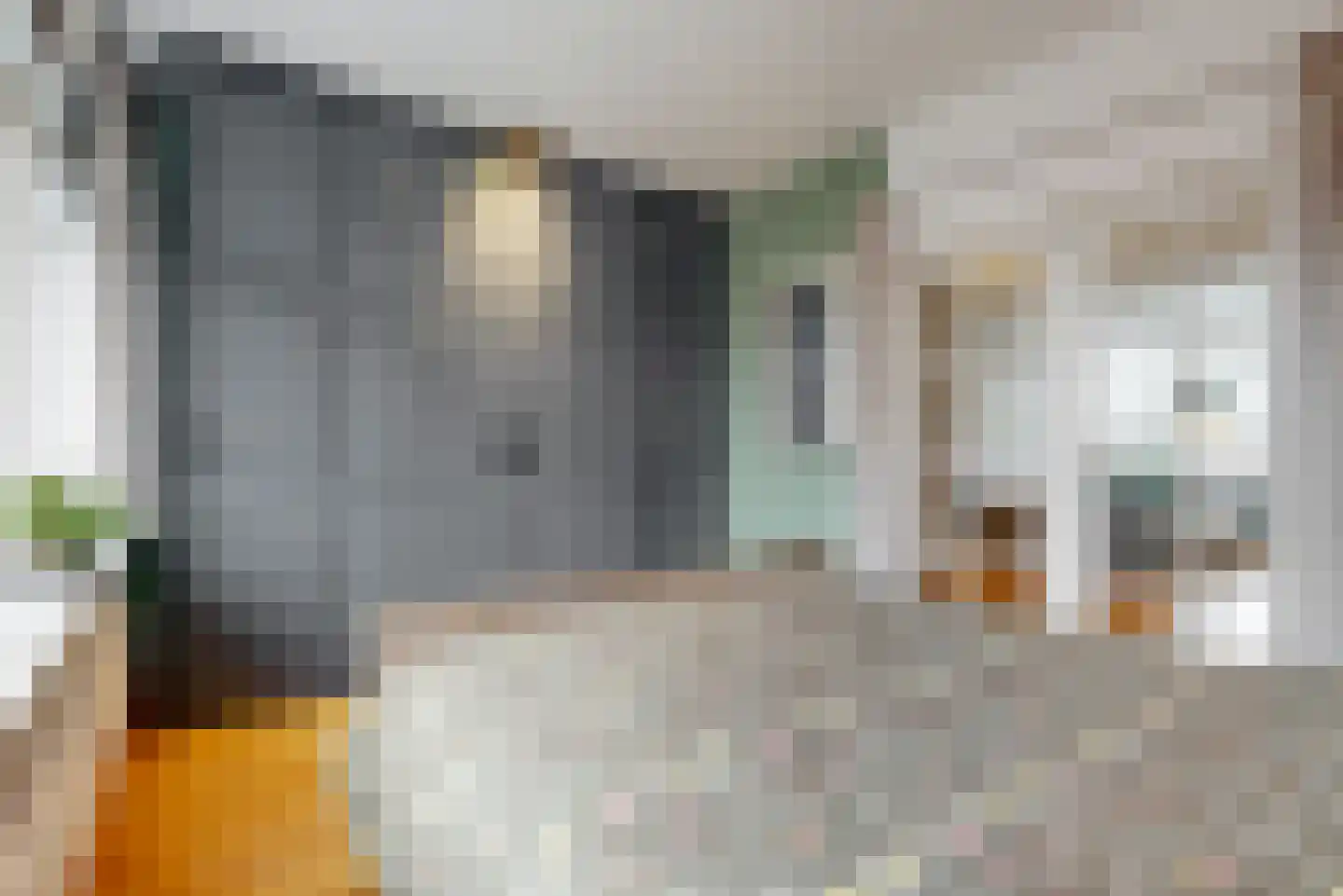 Jan Albert de Gravenlaan 40 Zoeterwoude thumbnail 24