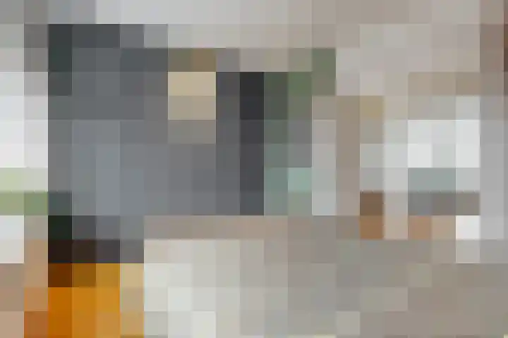 Jan Albert de Gravenlaan 40 Zoeterwoude thumbnail 24