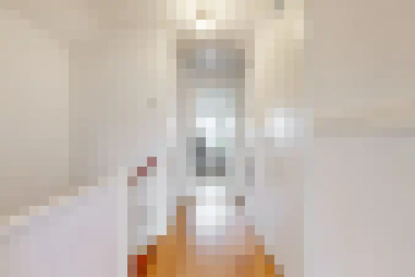 Jan Albert de Gravenlaan 40 Zoeterwoude thumbnail 25