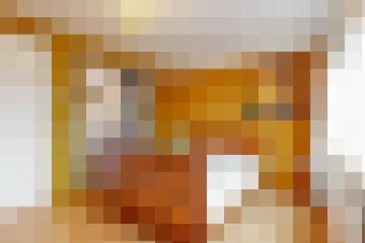Jan Albert de Gravenlaan 40 Zoeterwoude thumbnail 26