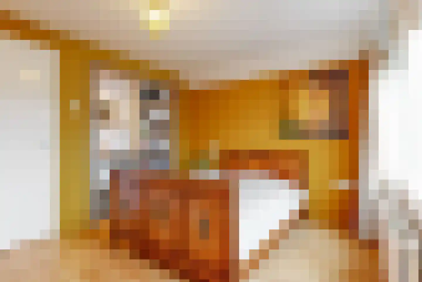 Jan Albert de Gravenlaan 40 Zoeterwoude thumbnail 26