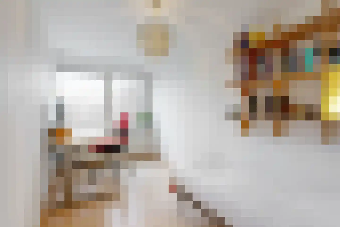 Jan Albert de Gravenlaan 40 Zoeterwoude thumbnail 32