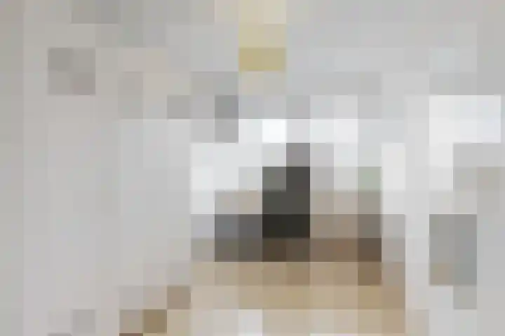Jan Albert de Gravenlaan 40 Zoeterwoude thumbnail 33