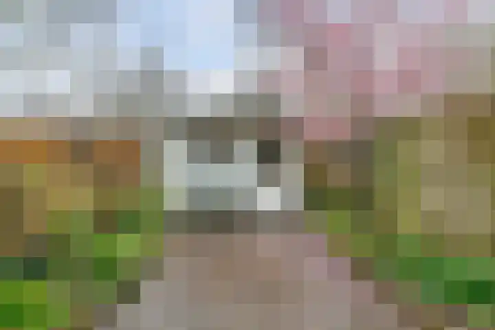 Jan Albert de Gravenlaan 40 Zoeterwoude thumbnail 4