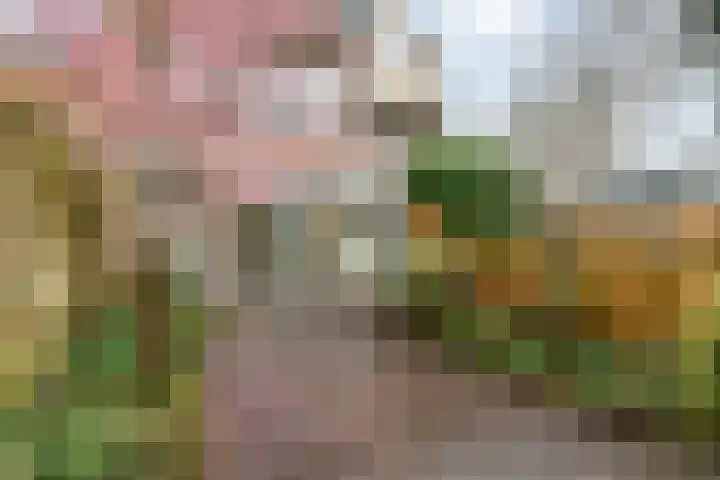 Jan Albert de Gravenlaan 40 Zoeterwoude thumbnail 41