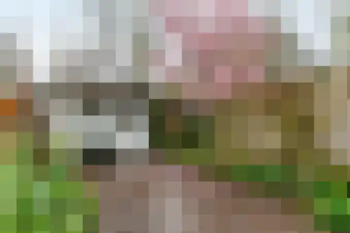 Jan Albert de Gravenlaan 40 Zoeterwoude thumbnail 42