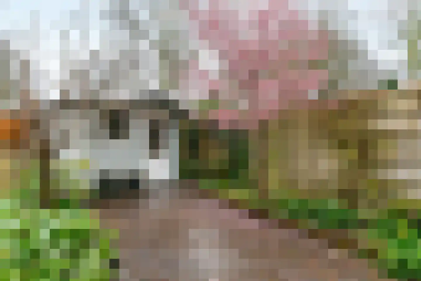 Jan Albert de Gravenlaan 40 Zoeterwoude thumbnail 42