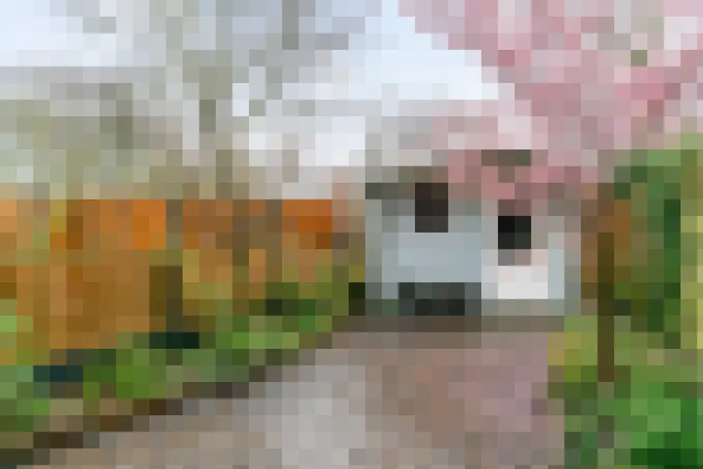 Jan Albert de Gravenlaan 40 Zoeterwoude thumbnail 43