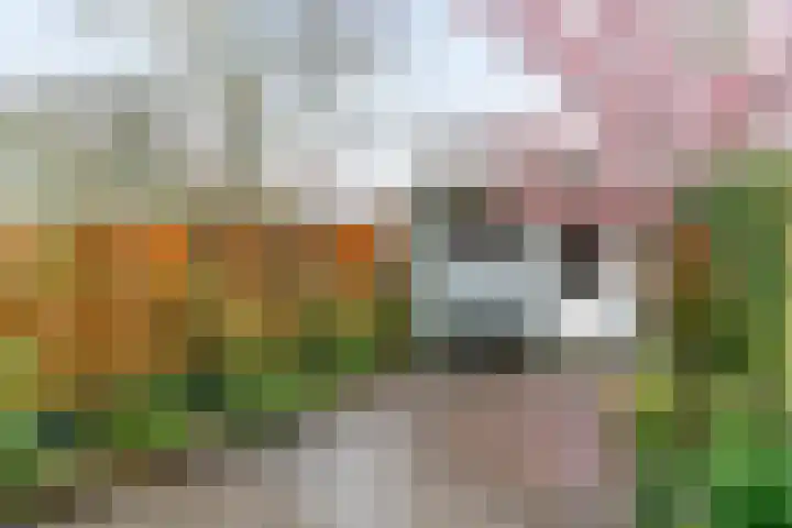 Jan Albert de Gravenlaan 40 Zoeterwoude thumbnail 43