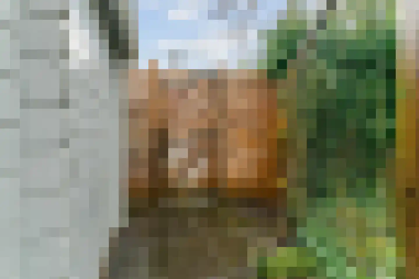 Jan Albert de Gravenlaan 40 Zoeterwoude thumbnail 44