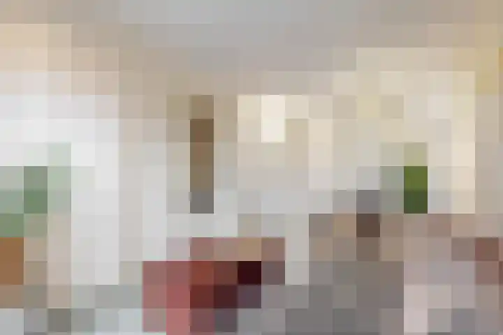 Jan Albert de Gravenlaan 40 Zoeterwoude thumbnail 9
