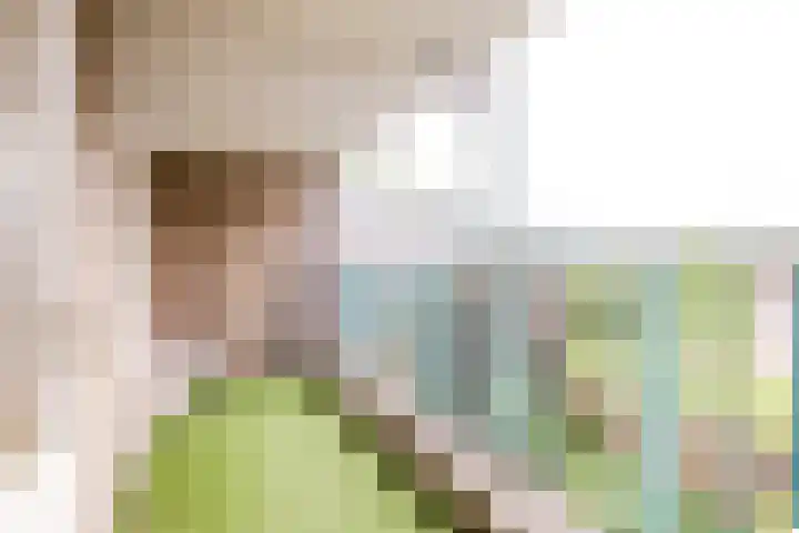 Jan Alsweg 10 Beverwijk thumbnail 18