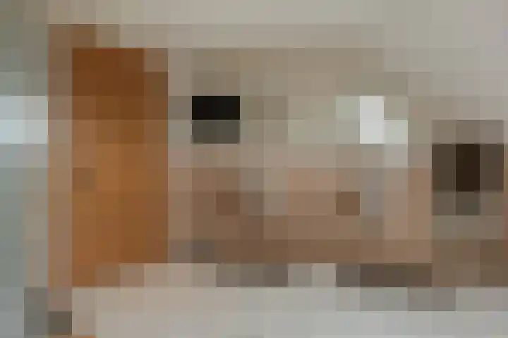 Jan Altinkhof 18 Veendam thumbnail 32
