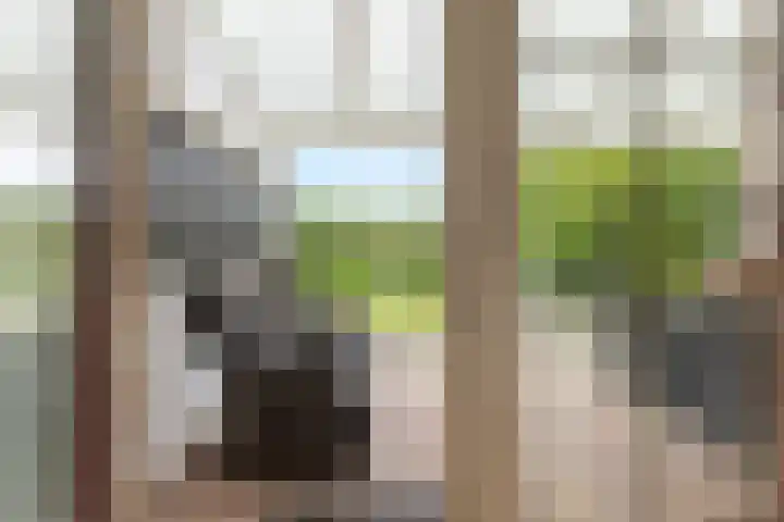 Jan Altinkhof 18 Veendam thumbnail 35