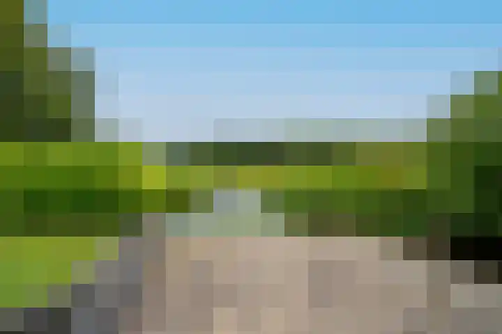 Jan Altinkhof 18 Veendam thumbnail 36