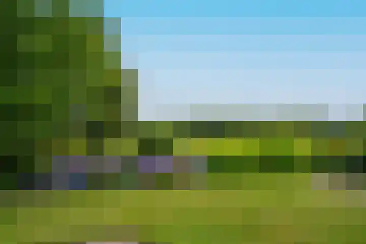 Jan Altinkhof 18 Veendam thumbnail 37
