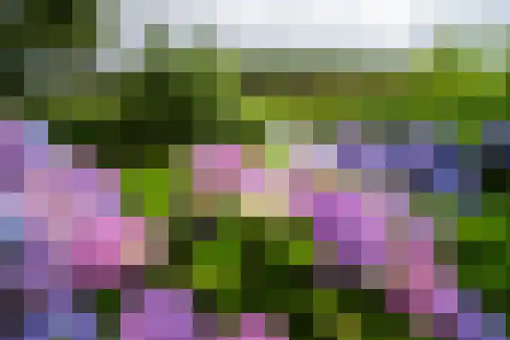 Jan Altinkhof 18 Veendam thumbnail 39