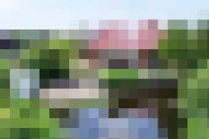 Jan Altinkhof 18 Veendam thumbnail 43