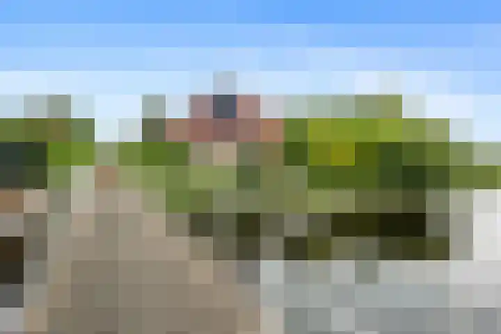 Jan Altinkhof 18 Veendam thumbnail 47