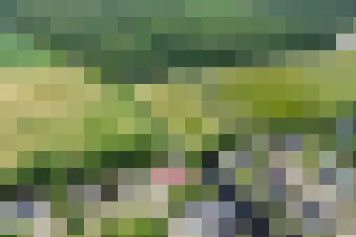 Jan Altinkhof 18 Veendam thumbnail 53
