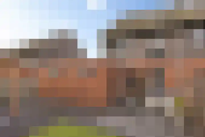 Jan Altinkhof 19 Veendam thumbnail 44