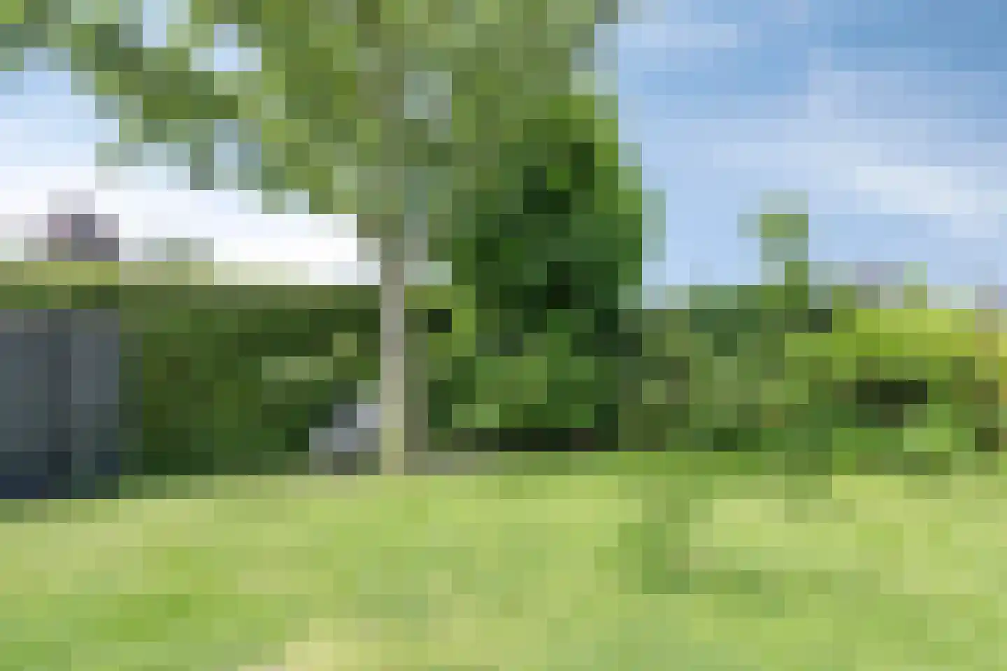 Jan Altinkhof 26 Veendam thumbnail 34