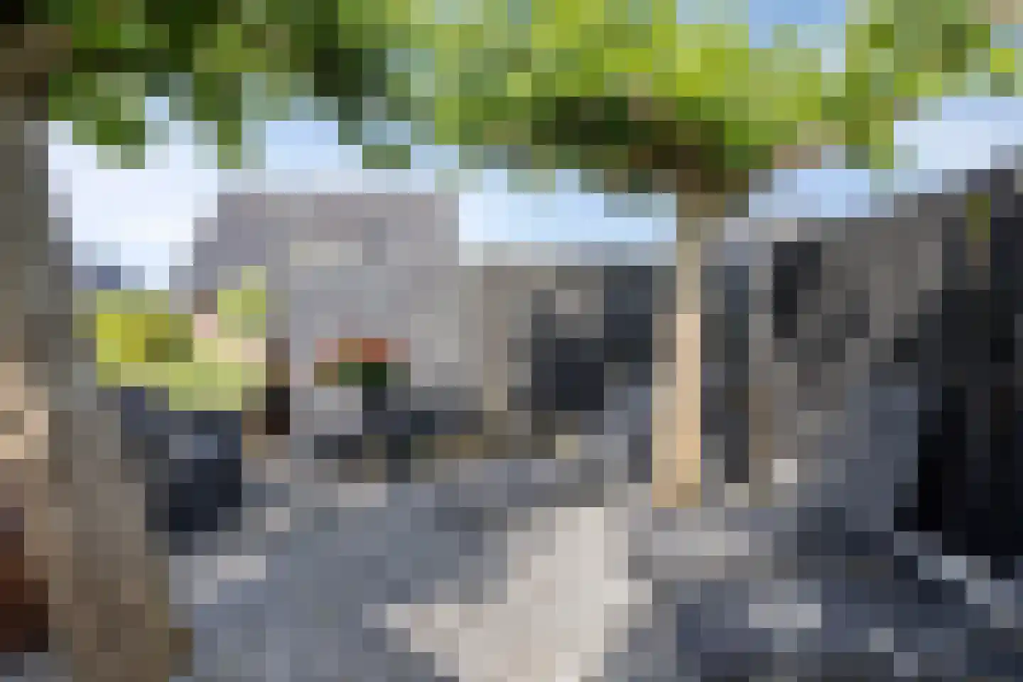 Jan Altinkhof 26 Veendam thumbnail 41