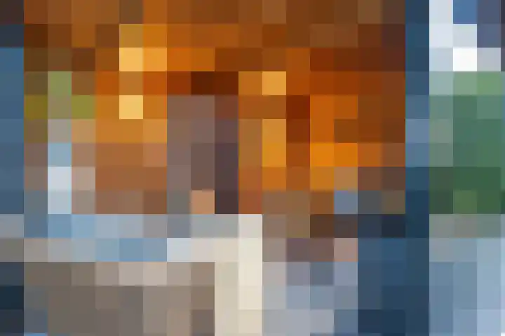 Jan Altinkhof 32 Veendam thumbnail 40