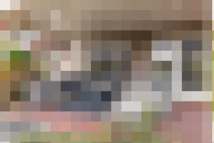 Jan Altinkhof 32 Veendam thumbnail 43