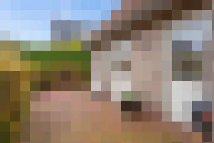 Jan Altinkhof 32 Veendam thumbnail 49