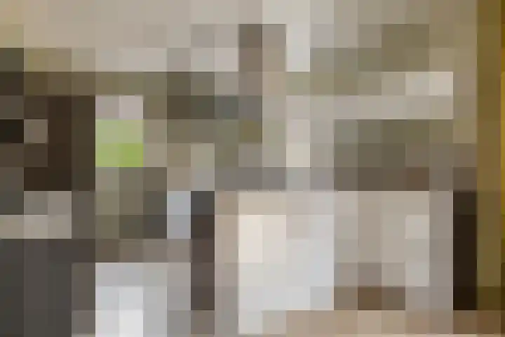 Jan Altinkhof 32 Veendam thumbnail 5