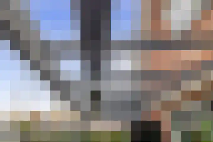 Jan Altinkhof 6 Veendam thumbnail 20