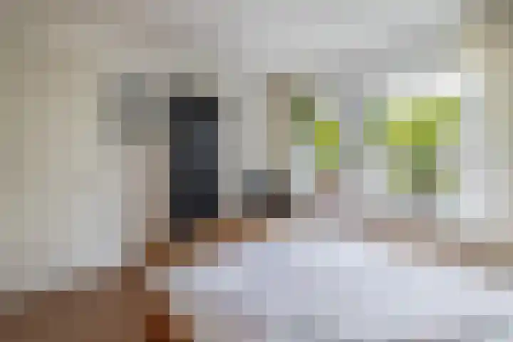 Jan Altinkhof 6 Veendam thumbnail 22