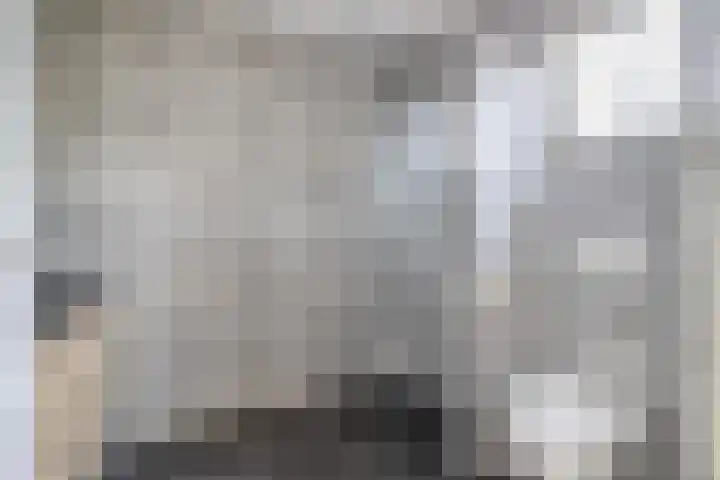 Jan Altinkhof 6 Veendam thumbnail 23