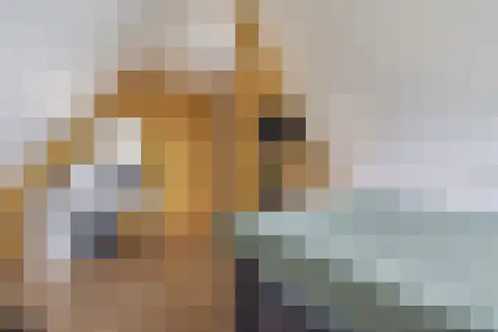 Jan Altinkhof 6 Veendam thumbnail 33