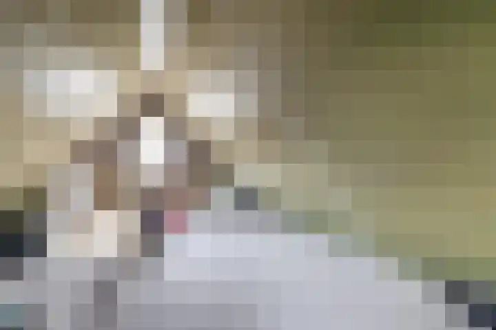 Jan Altinkhof 6 Veendam thumbnail 38