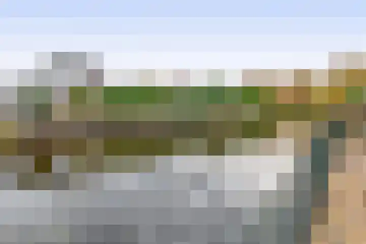 Jan Altinkhof 6 Veendam thumbnail 40
