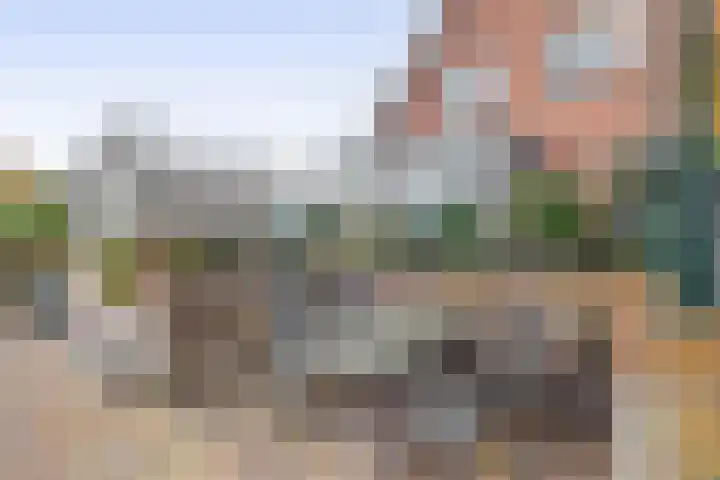 Jan Altinkhof 6 Veendam thumbnail 41