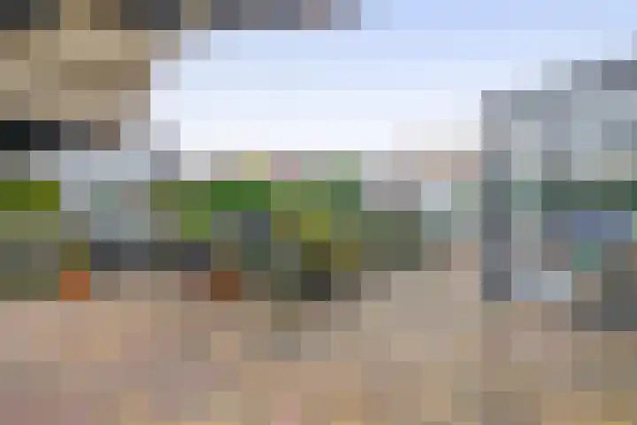 Jan Altinkhof 6 Veendam thumbnail 43