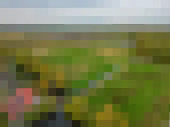 Jan Altinkhof 6 Veendam thumbnail 52