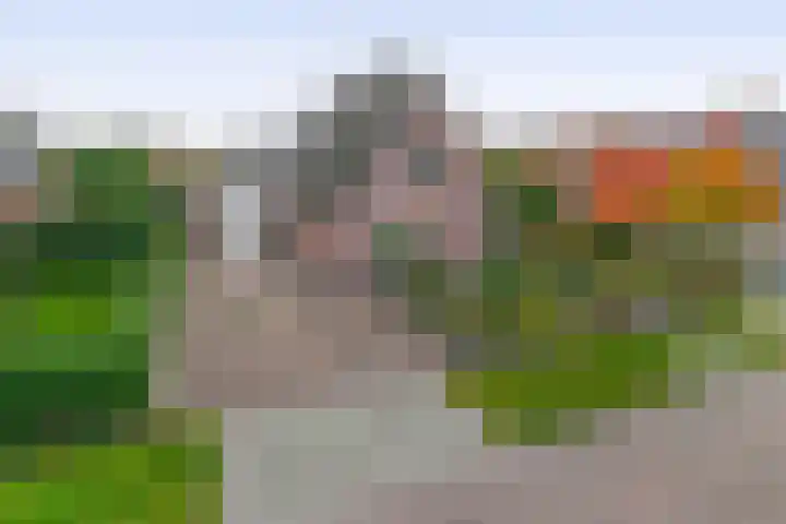 Jan Altinkhof 6 Veendam thumbnail 6