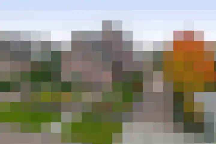 Jan Altinkhof 6 Veendam thumbnail 7